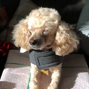 Meet your Posher, Rylee